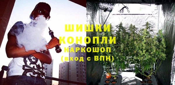 эйфоретик Белокуриха