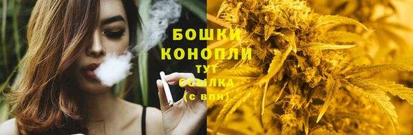 первитин Богданович