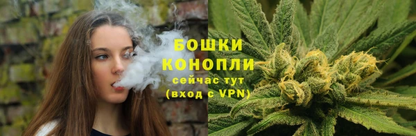 прущие крисы Беломорск