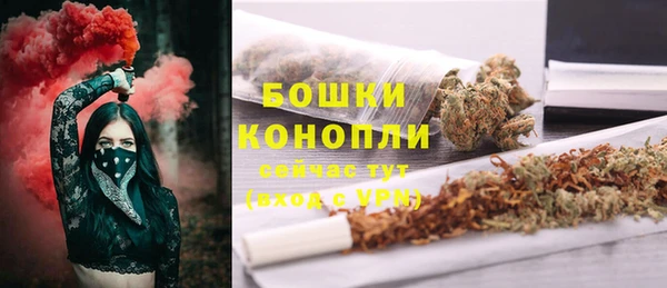 первитин Богданович