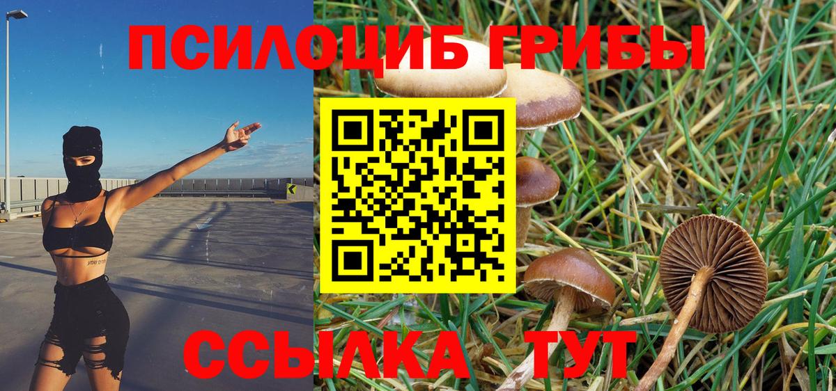 Луховицы  Псилоцибиновые грибы мухоморы  Вход с VPN 