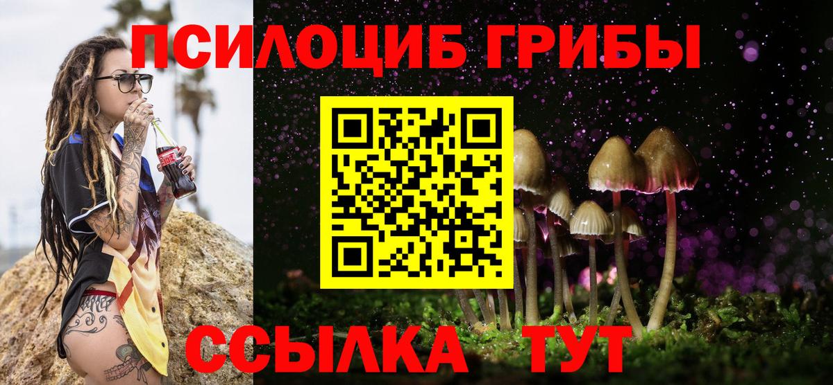 Псилоцибиновые грибы MAGIC MUSHROOMS Луховицы