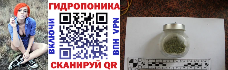 цены наркотик мега как войти Конопля Bruce Banner Луховицы